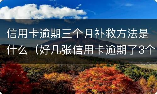 信用卡逾期三个月补救方法是什么（好几张信用卡逾期了3个月会怎么样）