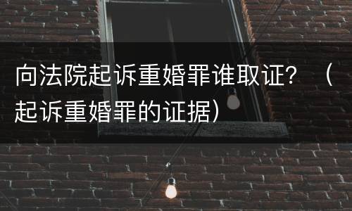 向法院起诉重婚罪谁取证？（起诉重婚罪的证据）