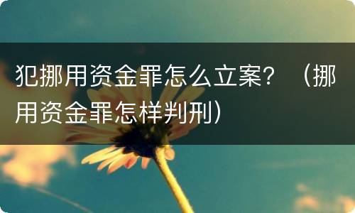 犯挪用资金罪怎么立案？（挪用资金罪怎样判刑）