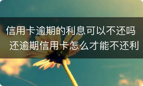 信用卡逾期的利息可以不还吗 还逾期信用卡怎么才能不还利息