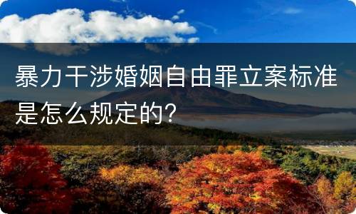 暴力干涉婚姻自由罪立案标准是怎么规定的?