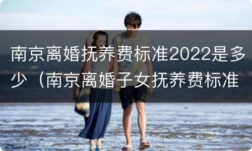 南京离婚抚养费标准2022是多少（南京离婚子女抚养费标准）