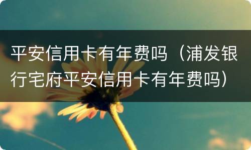平安信用卡有年费吗（浦发银行宅府平安信用卡有年费吗）