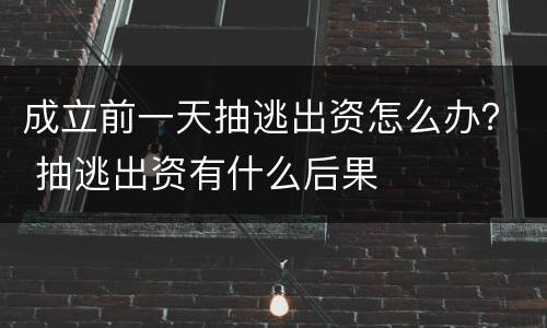 成立前一天抽逃出资怎么办？ 抽逃出资有什么后果