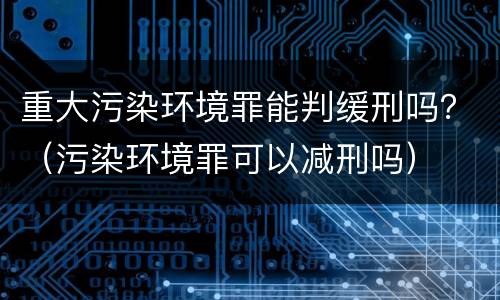 重大污染环境罪能判缓刑吗？（污染环境罪可以减刑吗）