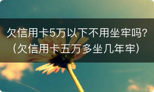 欠信用卡5万以下不用坐牢吗？（欠信用卡五万多坐几年牢）