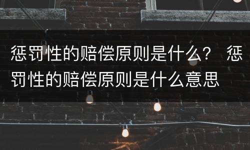 惩罚性的赔偿原则是什么？ 惩罚性的赔偿原则是什么意思