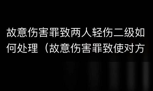 故意伤害罪致两人轻伤二级如何处理（故意伤害罪致使对方二级轻伤怎么判）