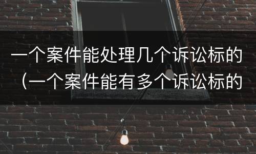一个案件能处理几个诉讼标的（一个案件能有多个诉讼标的吗）