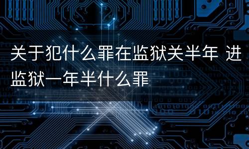 关于犯什么罪在监狱关半年 进监狱一年半什么罪