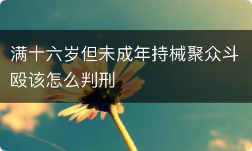 满十六岁但未成年持械聚众斗殴该怎么判刑