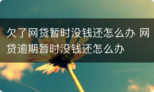 欠了网贷暂时没钱还怎么办 网贷逾期暂时没钱还怎么办