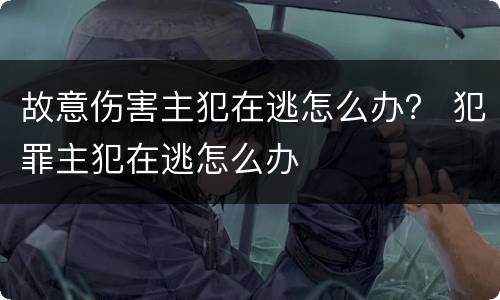 故意伤害主犯在逃怎么办？ 犯罪主犯在逃怎么办
