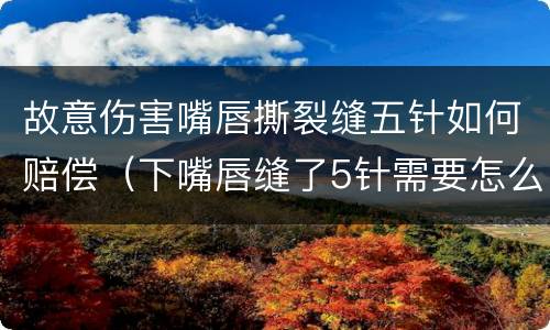 故意伤害嘴唇撕裂缝五针如何赔偿（下嘴唇缝了5针需要怎么赔偿）