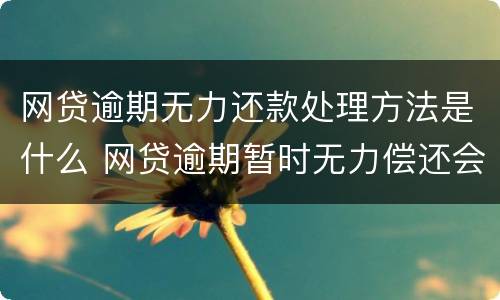 网贷逾期无力还款处理方法是什么 网贷逾期暂时无力偿还会怎样