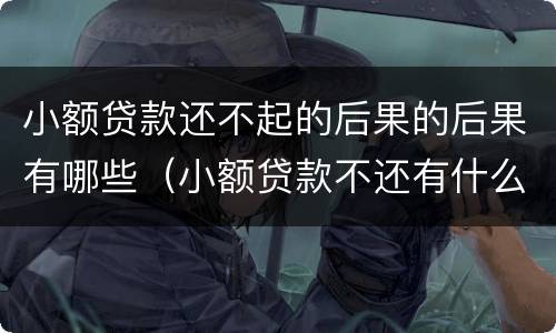小额贷款还不起的后果的后果有哪些（小额贷款不还有什么后果）