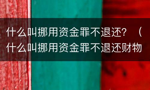什么叫挪用资金罪不退还？（什么叫挪用资金罪不退还财物）