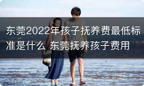 东莞2022年孩子抚养费最低标准是什么 东莞抚养孩子费用