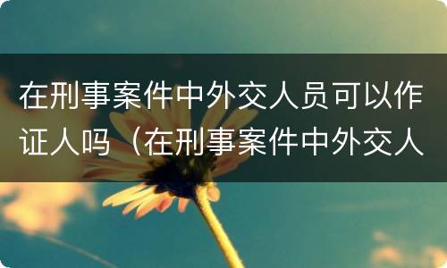 在刑事案件中外交人员可以作证人吗（在刑事案件中外交人员可以作证人吗怎么处理）