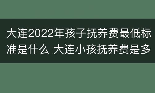 大连2022年孩子抚养费最低标准是什么 大连小孩抚养费是多少钱一个月