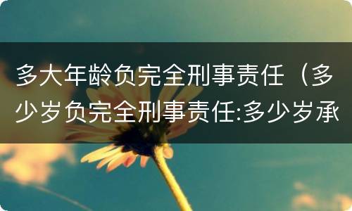 多大年龄负完全刑事责任（多少岁负完全刑事责任:多少岁承担刑事责任）