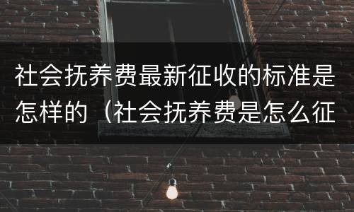 社会抚养费最新征收的标准是怎样的（社会抚养费是怎么征收的）