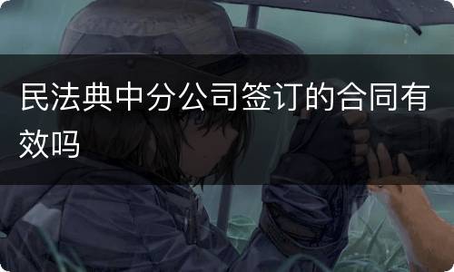 民法典中分公司签订的合同有效吗