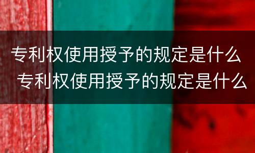 专利权使用授予的规定是什么 专利权使用授予的规定是什么意思