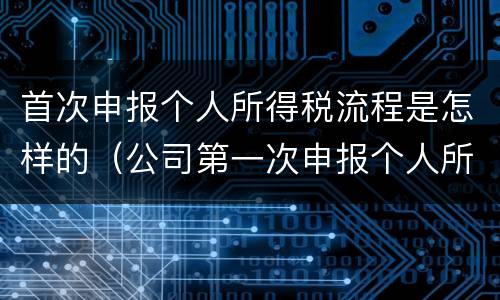 首次申报个人所得税流程是怎样的（公司第一次申报个人所得税怎么申报）