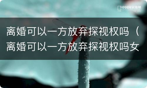 离婚可以一方放弃探视权吗（离婚可以一方放弃探视权吗女方）