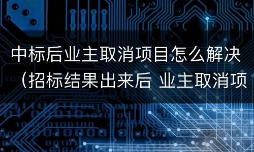 中标后业主取消项目怎么解决（招标结果出来后 业主取消项目）
