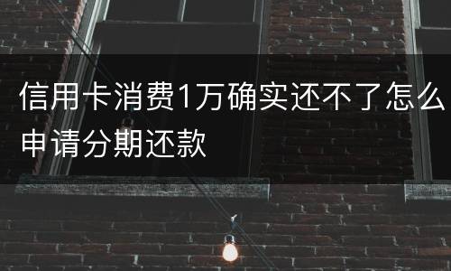 信用卡消费1万确实还不了怎么申请分期还款