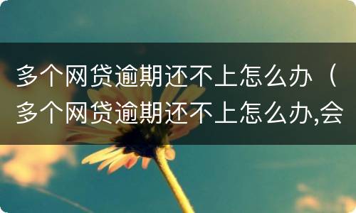 多个网贷逾期还不上怎么办（多个网贷逾期还不上怎么办,会不会坐牢?）