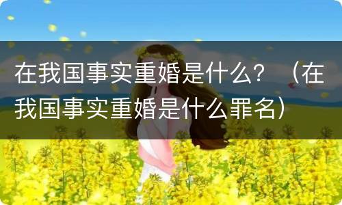 在我国事实重婚是什么？（在我国事实重婚是什么罪名）