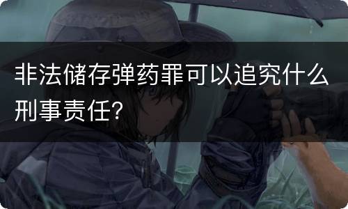 非法储存弹药罪可以追究什么刑事责任？
