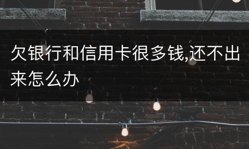 欠银行和信用卡很多钱,还不出来怎么办