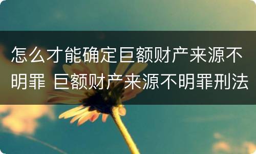 怎么才能确定巨额财产来源不明罪 巨额财产来源不明罪刑法多少条