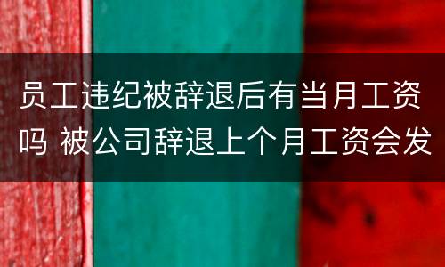 员工违纪被辞退后有当月工资吗 被公司辞退上个月工资会发嘛