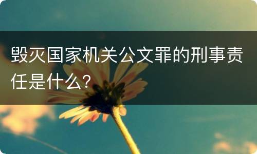 毁灭国家机关公文罪的刑事责任是什么？