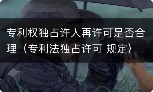 专利权独占许人再许可是否合理（专利法独占许可 规定）