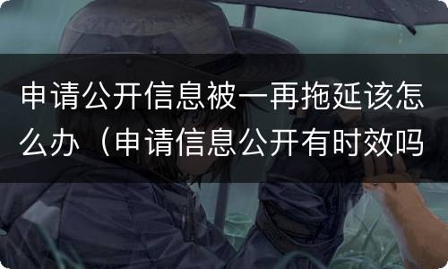 申请公开信息被一再拖延该怎么办（申请信息公开有时效吗）