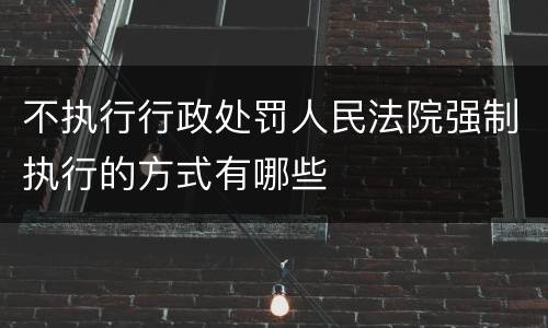 不执行行政处罚人民法院强制执行的方式有哪些