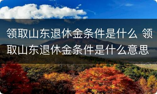 领取山东退休金条件是什么 领取山东退休金条件是什么意思