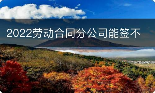 2022劳动合同分公司能签不