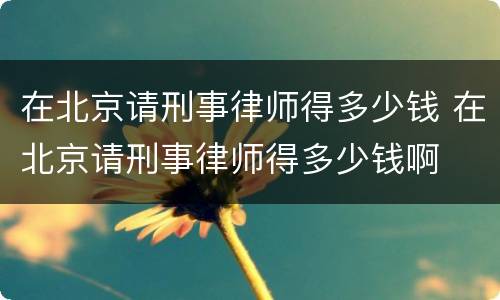 在北京请刑事律师得多少钱 在北京请刑事律师得多少钱啊