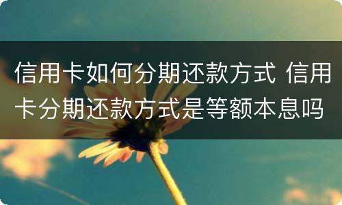 信用卡如何分期还款方式 信用卡分期还款方式是等额本息吗