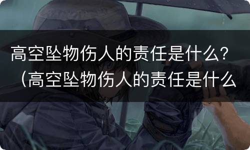 高空坠物伤人的责任是什么？（高空坠物伤人的责任是什么意思）