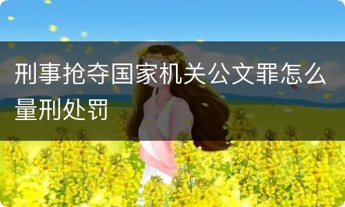 刑事抢夺国家机关公文罪怎么量刑处罚