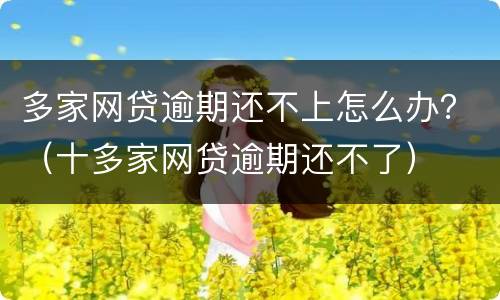 多家网贷逾期还不上怎么办？（十多家网贷逾期还不了）