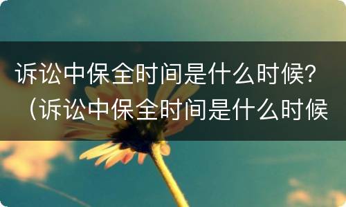 诉讼中保全时间是什么时候？（诉讼中保全时间是什么时候开始算）